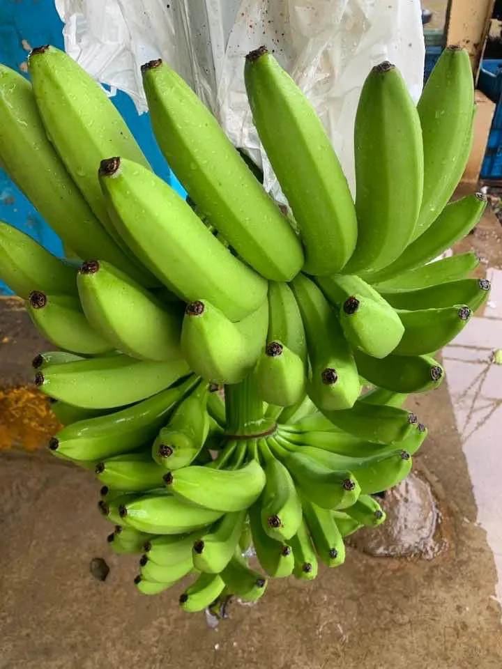 Bananas